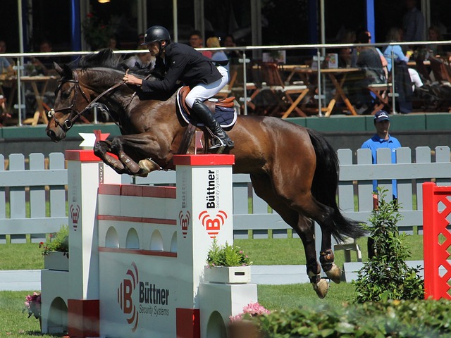 通过这种新 通过这种新